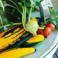 some vegetables are sitting on a table together