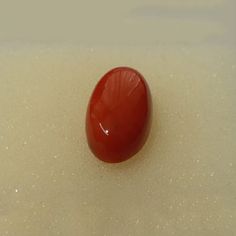 Italian Coral Stone Original & Lab certified Stone Coral At Best Price in Delhi - Gems Wisdom Indian Astrology, Financial Prosperity, Planet Mars, Coral Gemstone, Natural Coral, Red Stone, Red Coral, Natural Red