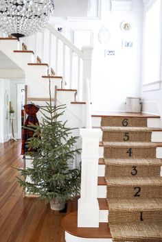 a christmas tree sitting on top of a wooden stair case next to a banister