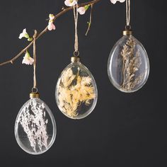 three glass ornaments hanging from a tree branch with flowers in the center and branches on each ornament