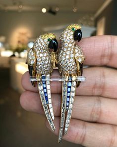 Amazing detail on this #brooch by @cartier with two gem-set parrots on a rock crystal perch! @sothebys #magnificentjewels Birds Jewelry, Emerald Watch, Parrot Jewelry, Indian Diamond Jewellery, Gemstone Brooch, Inlay Jewelry, Equestrian Jewelry, All Countries, Popular Jewelry