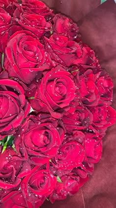 a bouquet of red roses with water droplets on them