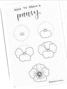 an open notebook with flowers drawn on it and the words how to draw pansy