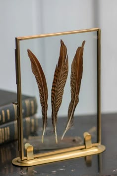 three feathers in a glass frame on a table next to some books and a pen