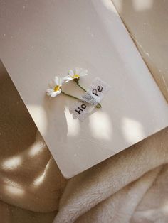 two daisies sitting on top of a white book with the word love written on it