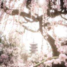 the sun shines through cherry blossom trees in front of a pagoda and bell tower