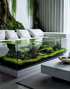 a living room filled with lots of green plants and moss growing on the side of it