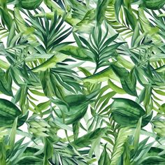 watercolor painting of green tropical leaves on white background, for wallpaper or fabric design