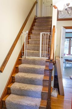 the stairs are made of carpet and wood