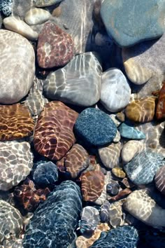 some rocks and water on the ground