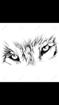 an image of a wolf's eyes in black and white