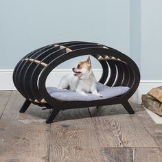 a small dog is sitting in an unusual chair that looks like it has been built into the floor