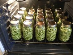 several jars filled with green beans in an oven