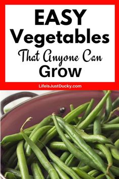 green beans in a pan with text overlay that says easy vegetables that anyone can grow