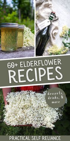 an image of elderflower recipes with text overlay