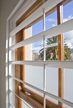 an open window with blinds on the outside and inside, in front of a palm tree