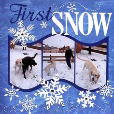 two dogs are playing in the snow with their owner and his dog, who is standing behind them