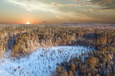 the sun is setting over a snowy forest