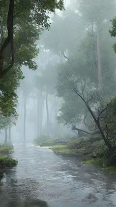 a river running through a forest filled with lots of green trees and bushes on a foggy day