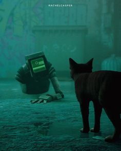 a black cat standing next to a robot on the ground in front of a wall with graffiti