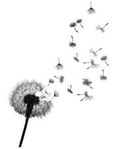 a dandelion blowing in the wind on a white background