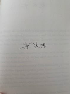 an open book with two dragonflies drawn on it