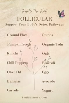 Cycle syncing infographic shows what to eat during your follicular cycle phase. This is known as the spring season. During this time, estrogen levels are on the rise. Your energy levels might soar, and you'll find yourself more creative, open to new adventures, and socializing. Hormonal Eating, Hormone Cycle, Womb Health, Period Health, Cycle Phases, Follicular Phase, Herbal Education, Balancing Hormones, Living In Harmony