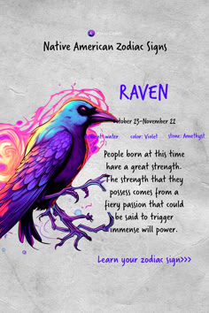 a colorful bird sitting on top of a tree branch with the words raven written below it