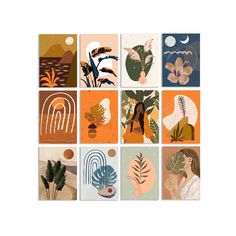 an assortment of art prints with different shapes and sizes, including leaves, flowers, and plants