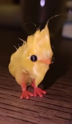 a small yellow bird sitting on top of a wooden table