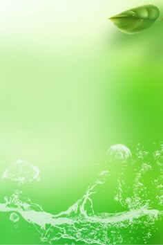 a green background with water and leaves