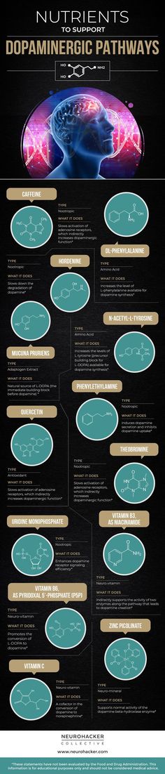 an info sheet with information about the different types of aircrafts and their functions in flight