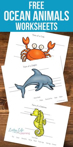 an ocean animal worksheet with the title free ocean animals worksheets