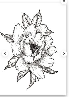 a black and white drawing of a large flower with leaves on the petals is shown