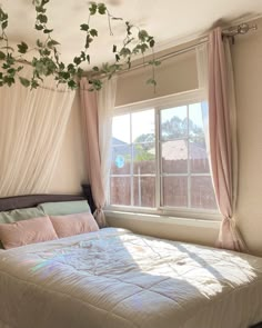 a bed sitting under a window next to a plant hanging from the side of it