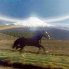 a horse running in the grass with a mountain in the background