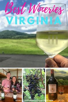 a collage of wine images with the words best wines in virginia