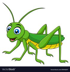 a cartoon grasshopper with big eyes on a white background