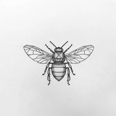 a black and white drawing of a bee