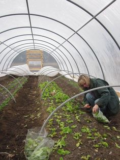 a woman kneeling down in the dirt next to some green plants and water hoses