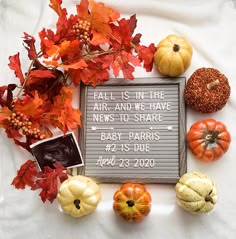 fall is in the air and we have news to share