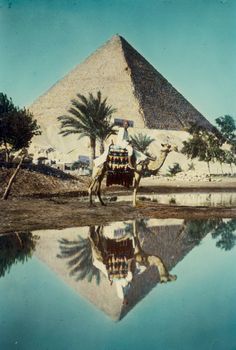 a man riding a camel in front of a pyramid