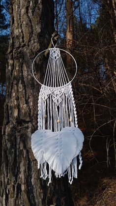 a white dream catcher hanging from a tree