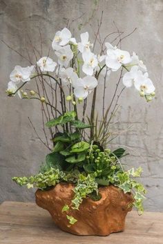 a potted plant with white flowers and greenery in it on a wooden table