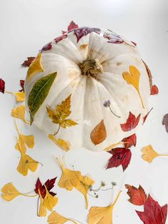 a white pumpkin sitting on top of leaves