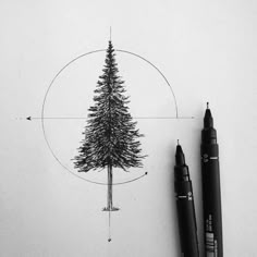 a pencil drawing of a pine tree and some other things on the table next to it