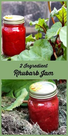 two jars filled with red liquid next to green plants