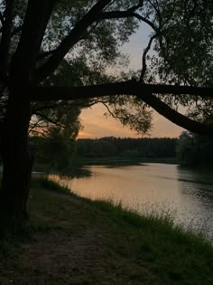 the sun is setting behind some trees near a river bank with grass and water in front of it