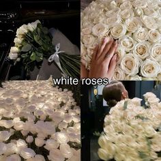 white roses laid out on the floor and placed in front of each other