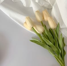 some white flowers are sitting on a table